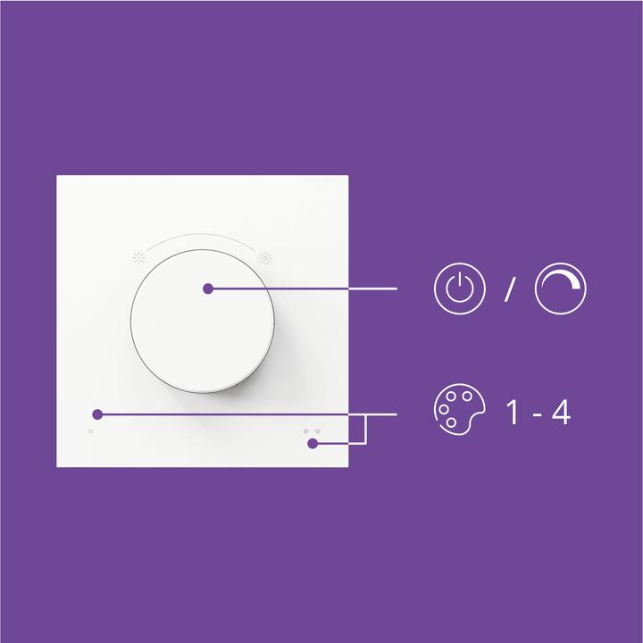 Actual product image WiZ Dial Switch USB-C