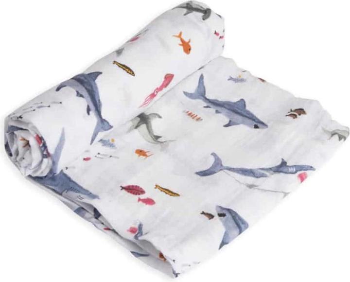 Pescecane