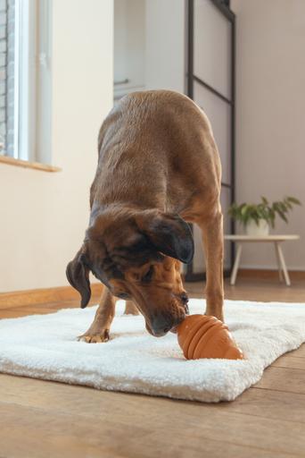 Actual product image Beeztees Sumo Play