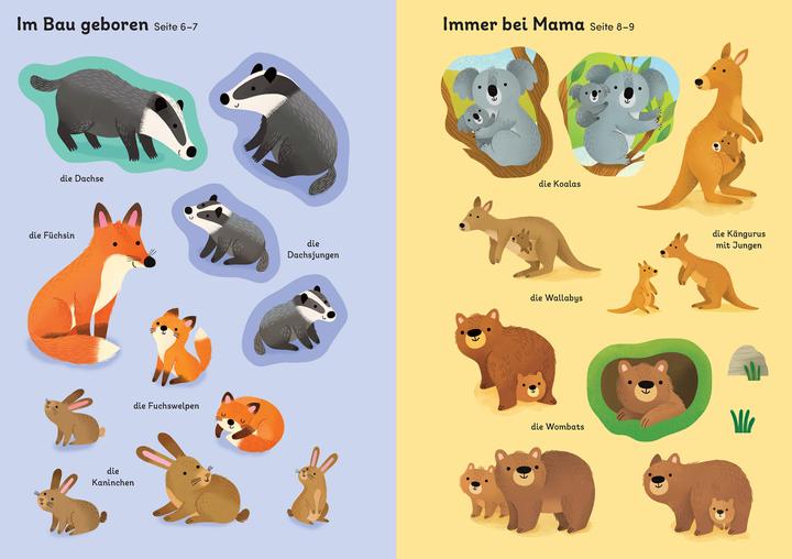 Actual product image Mein Immer-wieder-Stickerbuch: Tierkind
