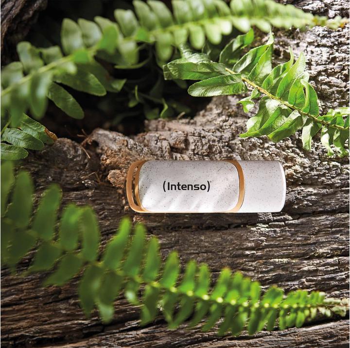 Actual product image Intenso Green Line (64 GB, USB-A)