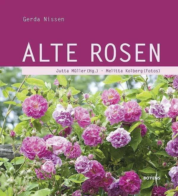 Actual product image Alte Rosen (German, Gerda Nissen, Melitta Kolberg, Jutta Müller, 2011)