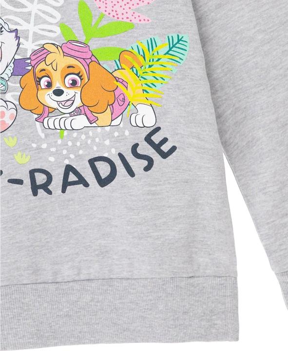 Actual product image Paw Patrol Girls Paw-Radise Hoodie (104)