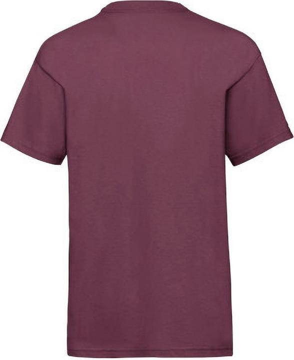 Image du produit Fruit of the Loom T-shirt à manches courtes (pack de 2) (104)
