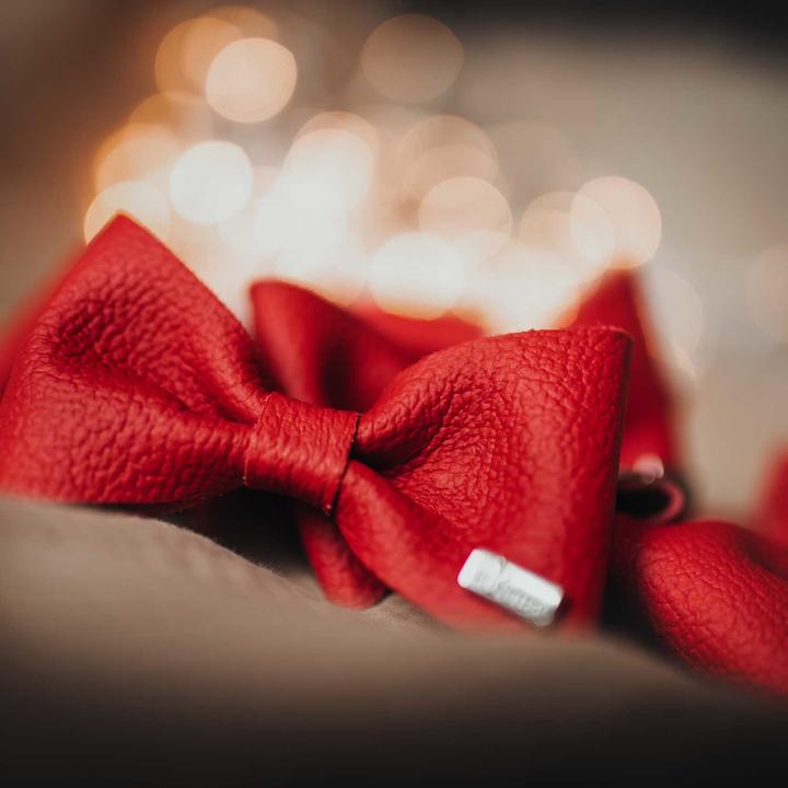 Image du produit Hunter Accessoires pour colliers Noeud papillon Paris, rouge (Chien, Général)