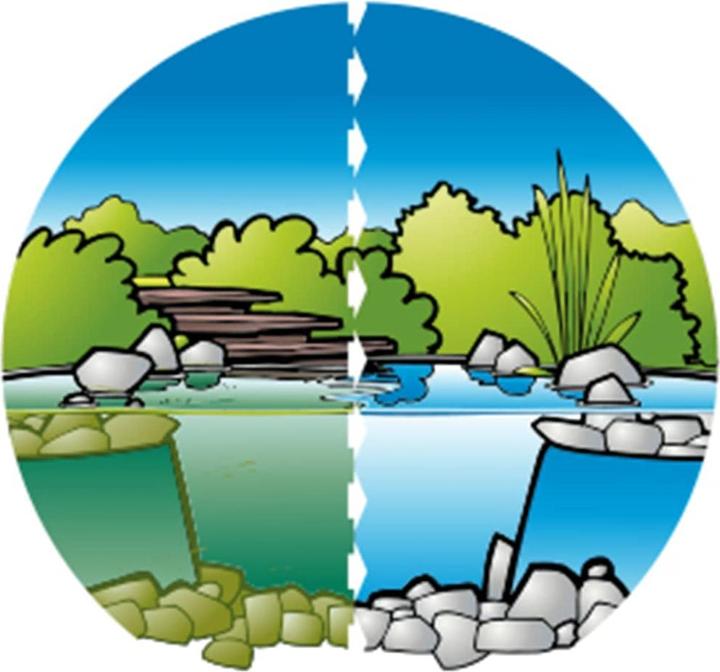 Produktbild Ubbink Algenbehandlungsmittel