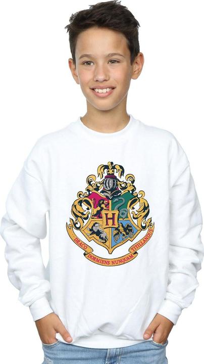 Actual product image Boys Hogwarts Crest Gold Ink Sweatshirt (140, 146)