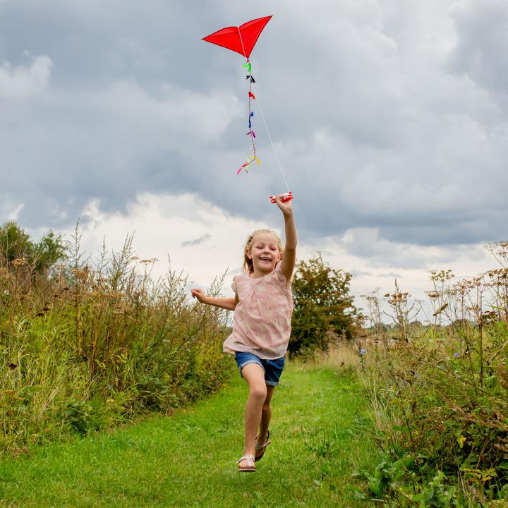 Actual product image Kikkerland Huckleberry Kite