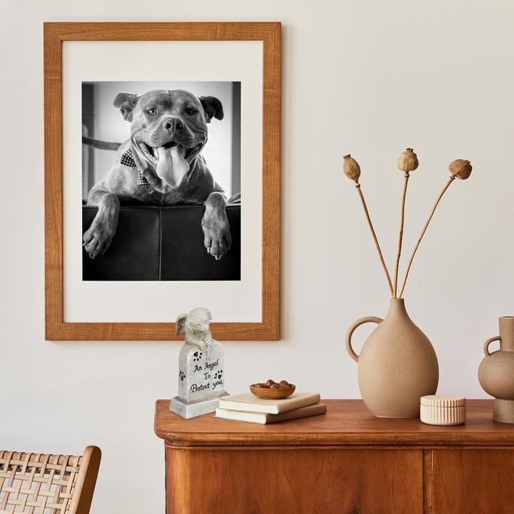 Immagine prodotto Relaxdays Lapide-cane