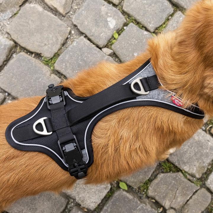 Produktbild Curli Geschirr Magnetic Belka Comfort (XL, Hund, Allgemein, Spazieren)