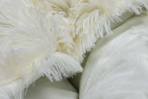 Immagine prodotto Beeztees Letto per cuccioli Kiki (Cane)