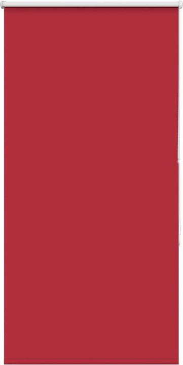 Rot