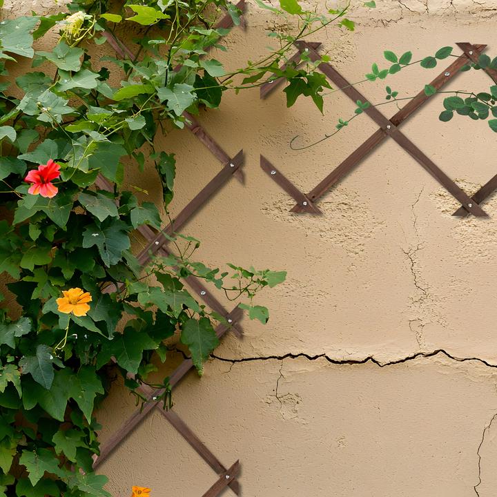Actual product image Relaxdays 3x trellis (1 cm, 30 cm)