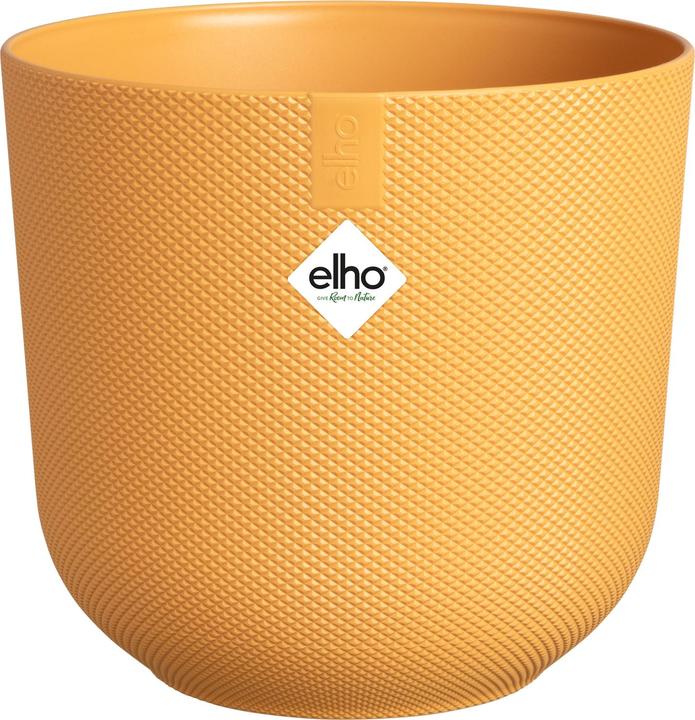 Actual product image Elho Jazz (26 cm)