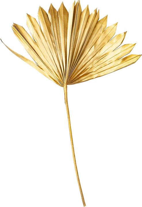 Immagine prodotto Casativo Foglia deco, oro, 40 x 45 cm (40 x 45 cm)