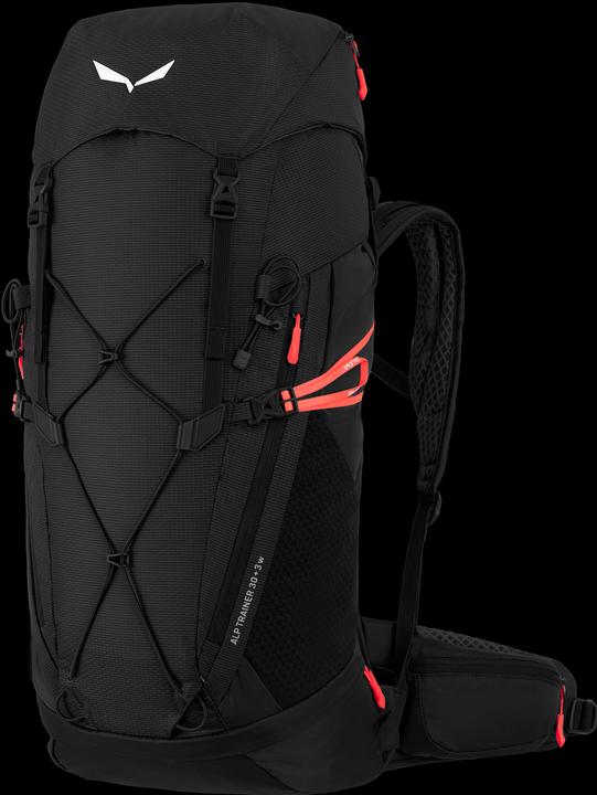 Actual product image Salewa Alp Trainer 30+3 Ws
