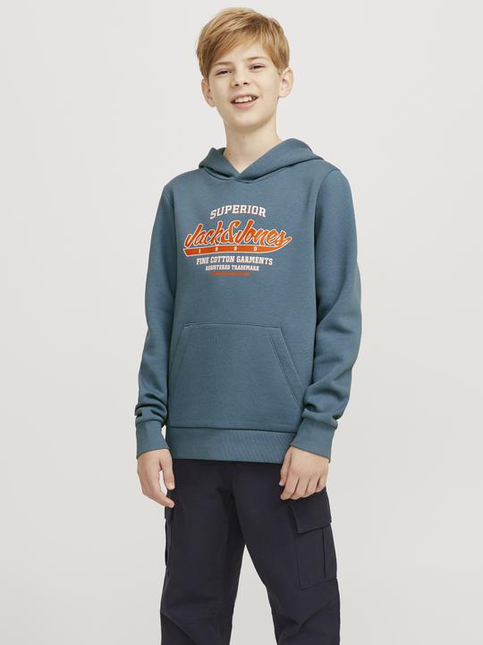 Produktbild Jack & Jones JJELOGO SWEAT HOOD 2 COL 24/25 NOOS JNR (176)