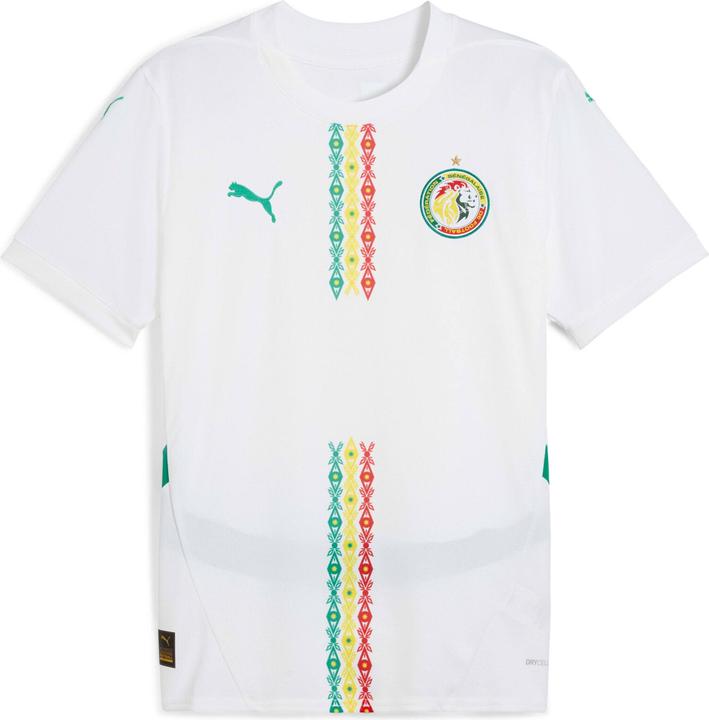 Actual product image Puma FSF Home Jersey Replica (M)