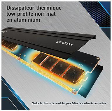 Actual product image Crucial Pro (1 x 24GB, 5600 MHz, DDR5 RAM, U-DIMM)