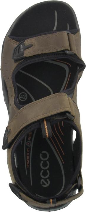 Actual product image Ecco Offroad Andes II (41)