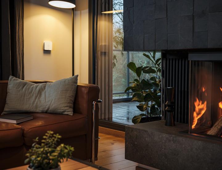 Actual product image Netatmo Carbon monoxide detector