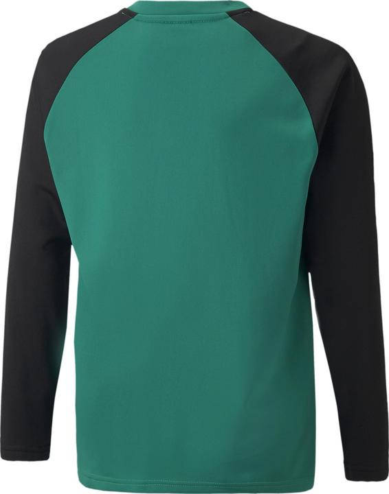 Actual product image Puma teamLIGA Training Sweat Jr-657239 (164)