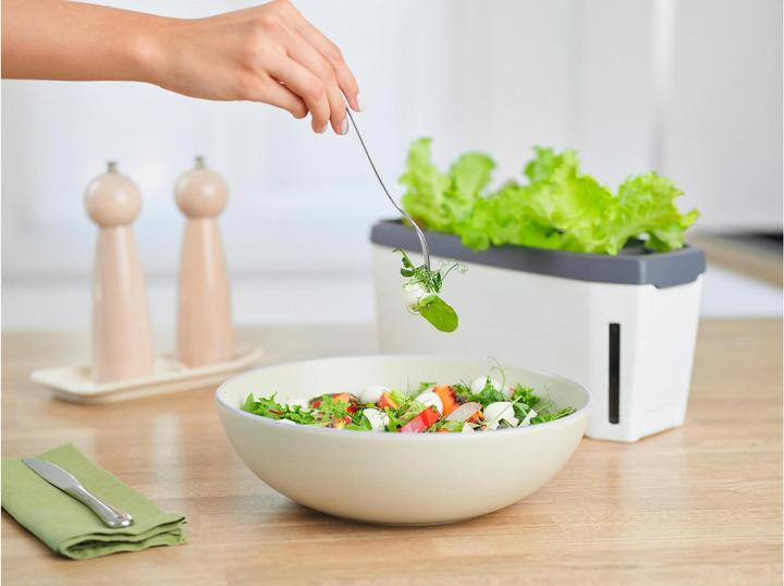 Actual product image Gusta Garden Kräutertopf HARRY HERBS mit Haube, Weiss (35.80 cm)