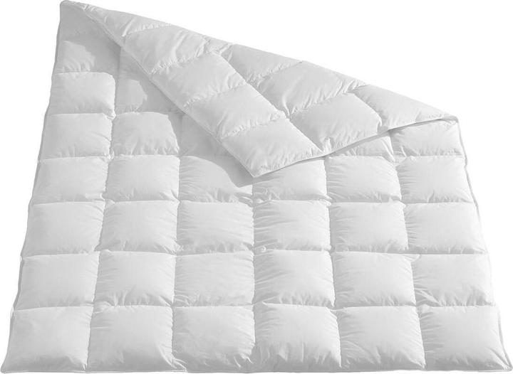 Image du produit Traumschlaf Himalaya (930 g, 240 x 220 cm)