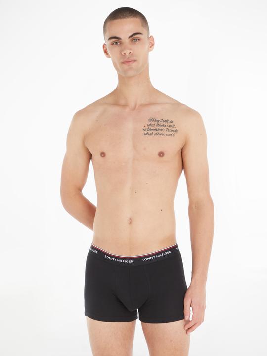 Image du produit Tommy Hilfiger Trunk (L, Lot de 3)