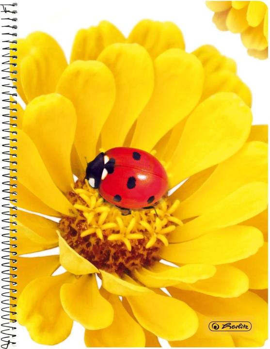 Immagine prodotto Herlitz Blocco note College A5/160BL assortito (A5, Quadretti, Nessuna rilegatura)