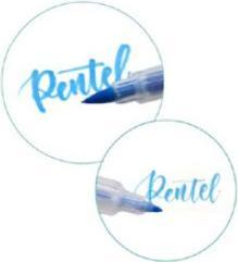 Actual product image Pentel BrushSignPen Twin brush pen, set of 30 (2 flexible writing tips, width: 1-4 mm, fine: 0.2-2 mm, 30 x)
