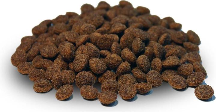 Actual product image Dr. Berg Dry Food Felikatessen Chicken+Salmon, 1 kg (Adult, 1 pcs., 1043 g)
