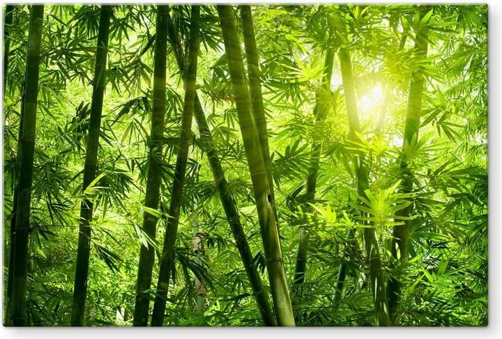 Actual product image Trenddeko Sunshine in the bamboo forest (40 x 60 cm)