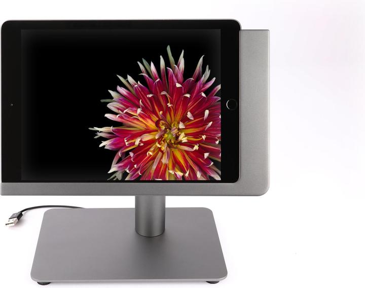 Immagine prodotto Viveroo free flex#381217 soluzione per iPad laccata DarkSteel