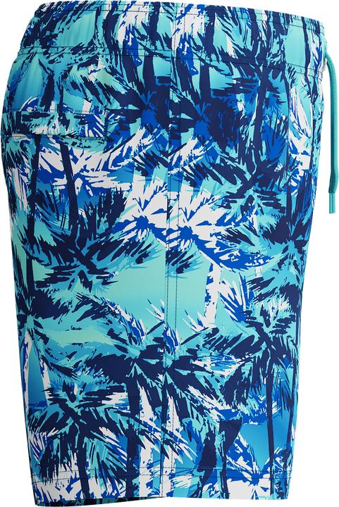 Image du produit Speedo Digi Printed 13" Watershort (L)