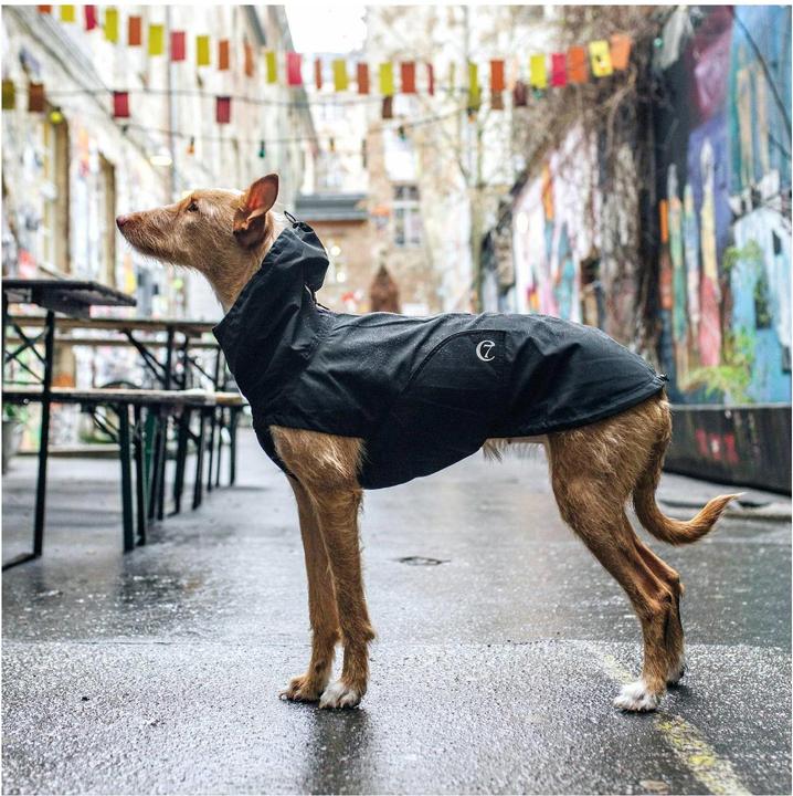 Produktbild Cloud 7 Dublin (Hundemantel)