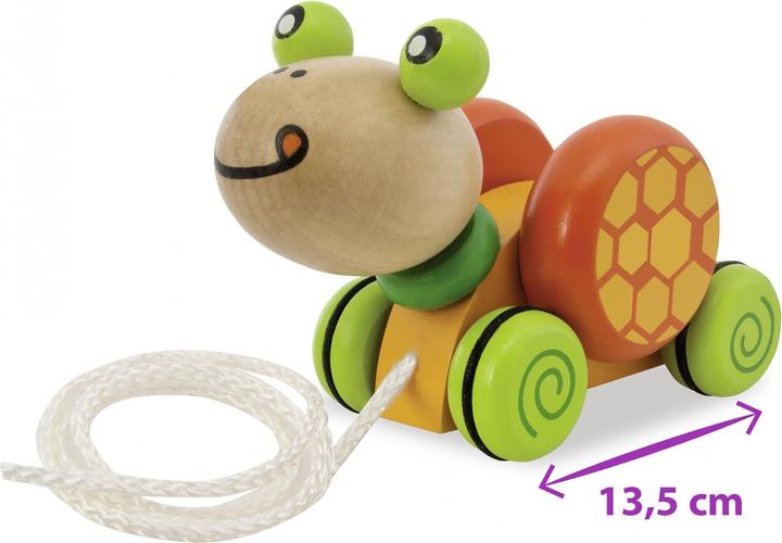 Actual product image Eichhorn Turtle