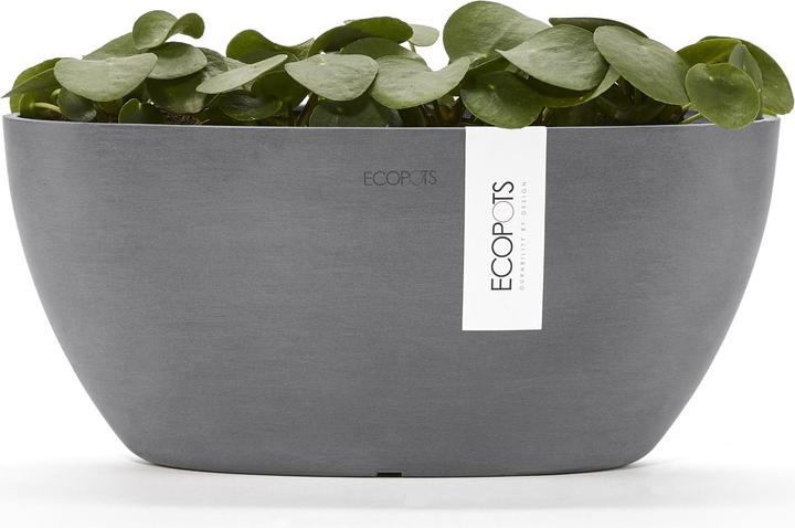 Actual product image Ecopots Sofia (13 cm)