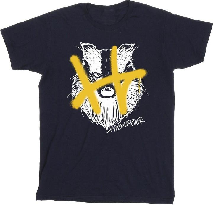 Actual product image Boys Hufflepuff Pop Spray T-Shirt (116)