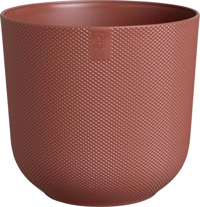 Tuscan red
