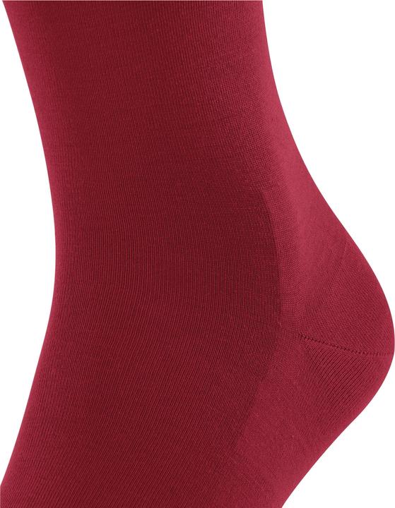 Produktbild Falke Clima Wool (Einzelpack, 39 - 40)