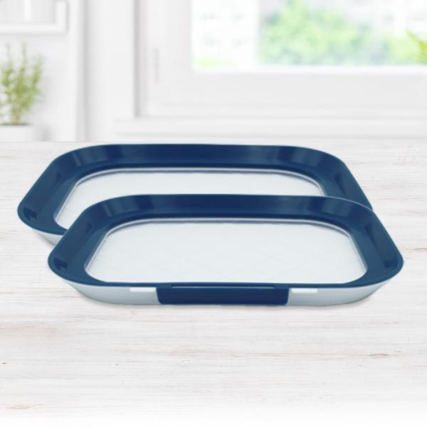 Image du produit Livington Plateau fraîcheur Flex & Fresh 2 pièces, bleu/blanc (3.17 l)