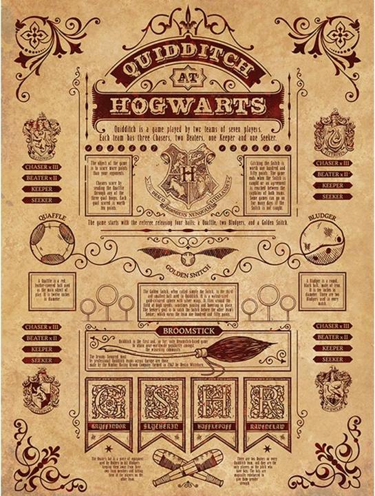 Produktbild Leinwanddruck Quidditch (80 x 60 cm)