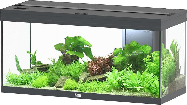 Actual product image Aquatlantis Aquarium Volga 180 (180 l)