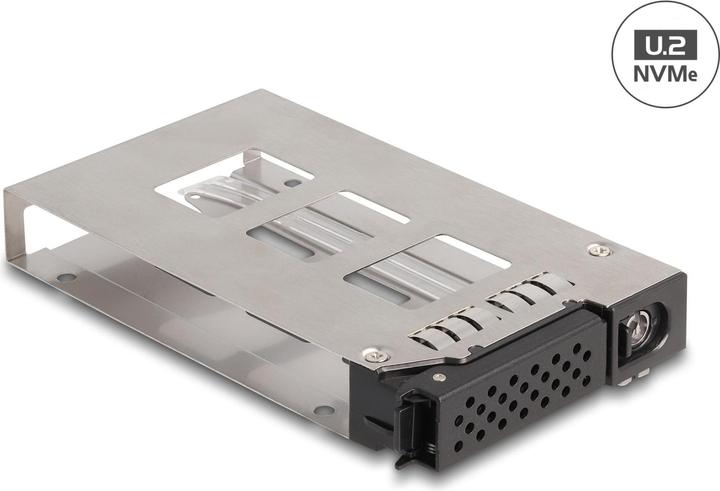 Produktbild Delock Wechselrahmen Einschub für 1 x 2.5? U.2 NVMe SSD für Wechselrahmen 47005 / 47011