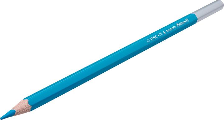 Immagine prodotto Pelikan Pastelli Acquerello ad acqua (Giallo, Pink, Blu chiaro, Verde chiaro, Blu scuro, Arancia, Verde scuro, Viola, Marrone, Rosso, Colore pelle, Nero, 12 x)