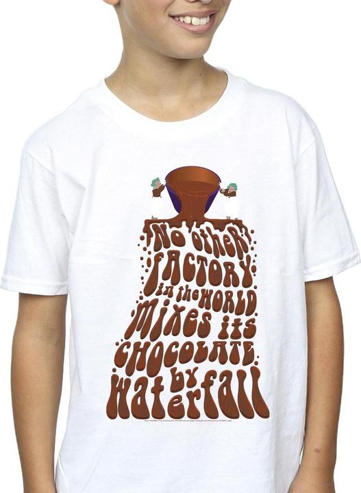 Actual product image Willy Wonka & the Chocolate Factory Boys Chocolate Waterfall T-Shirt (104)