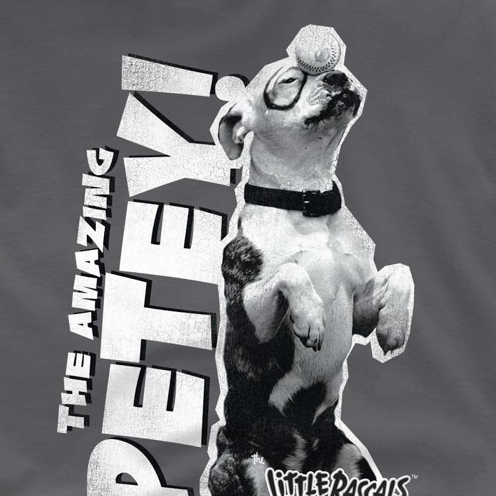 Image du produit The Little Rascals - T-shirt AMAZING PETEY - Homme (4XL)