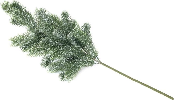 Actual product image Europalms Fir branch, snow-covered, PE, 65cm