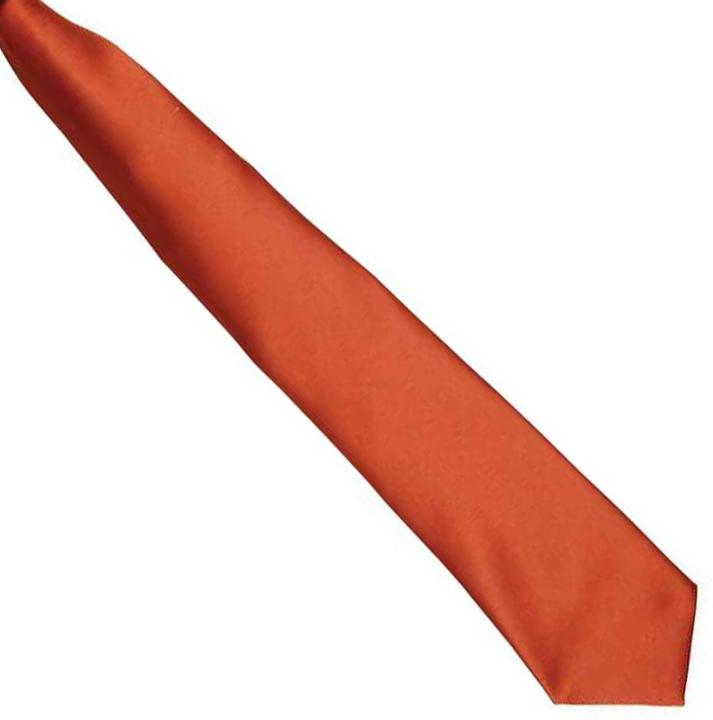 Image du produit Premier Cravate en satin à clipser